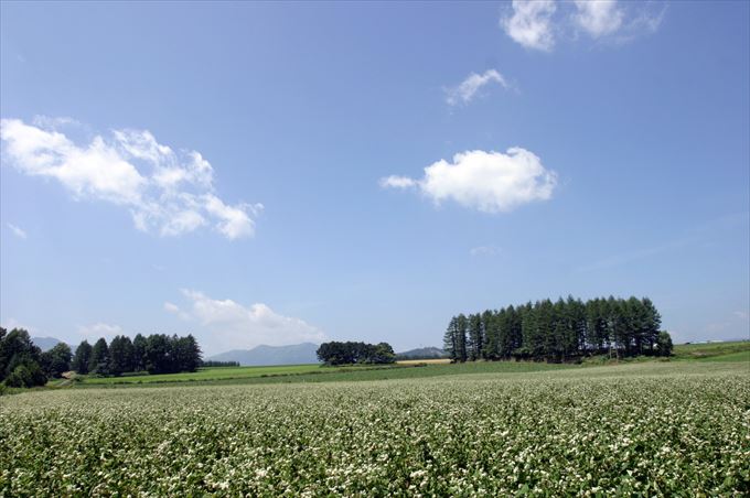 tokachiphoto_00115_R