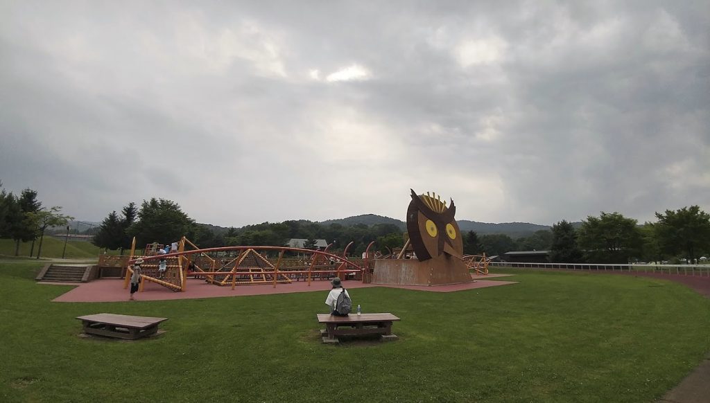 Wanpaku Hiroba, a giant playground