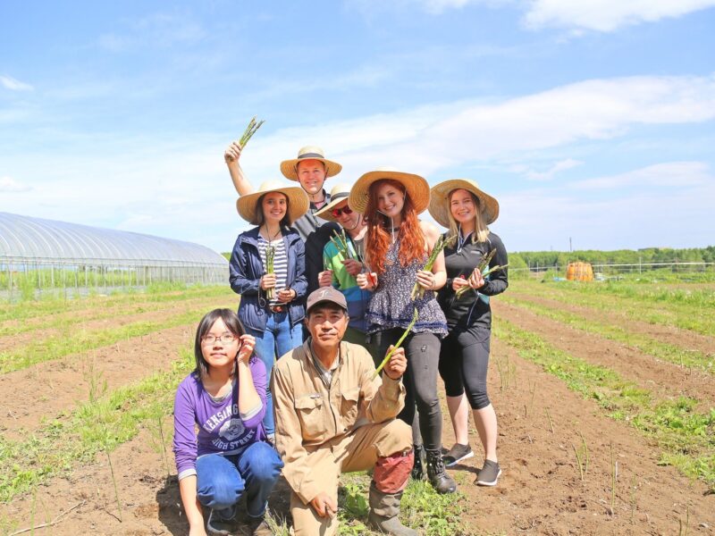 Abe Farm
