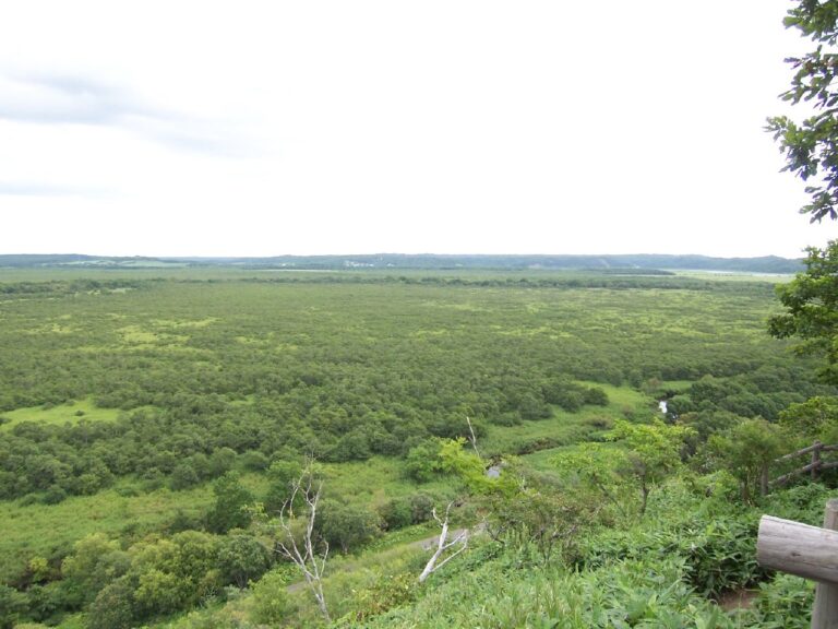 Kushiro Marsh