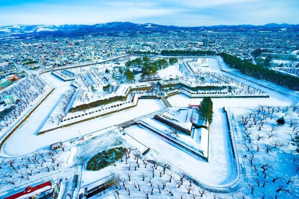 Goryokaku Park - Winter