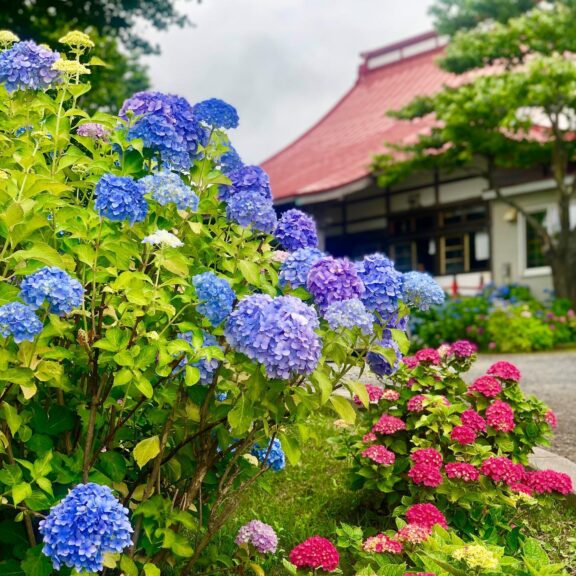 法輪寺