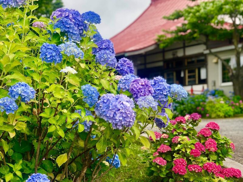 法輪寺
