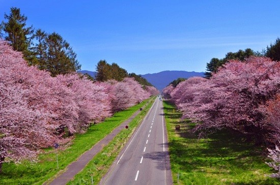 Nijukken Road / Hokkaido