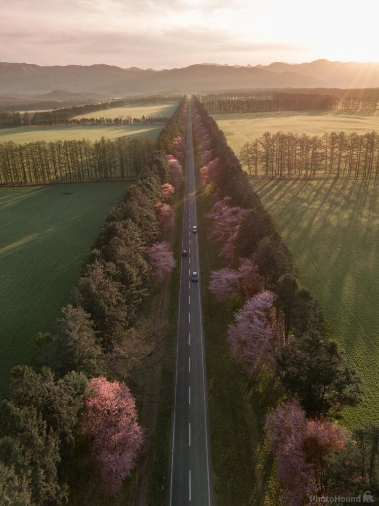 Nijyukken road (二十間道路)