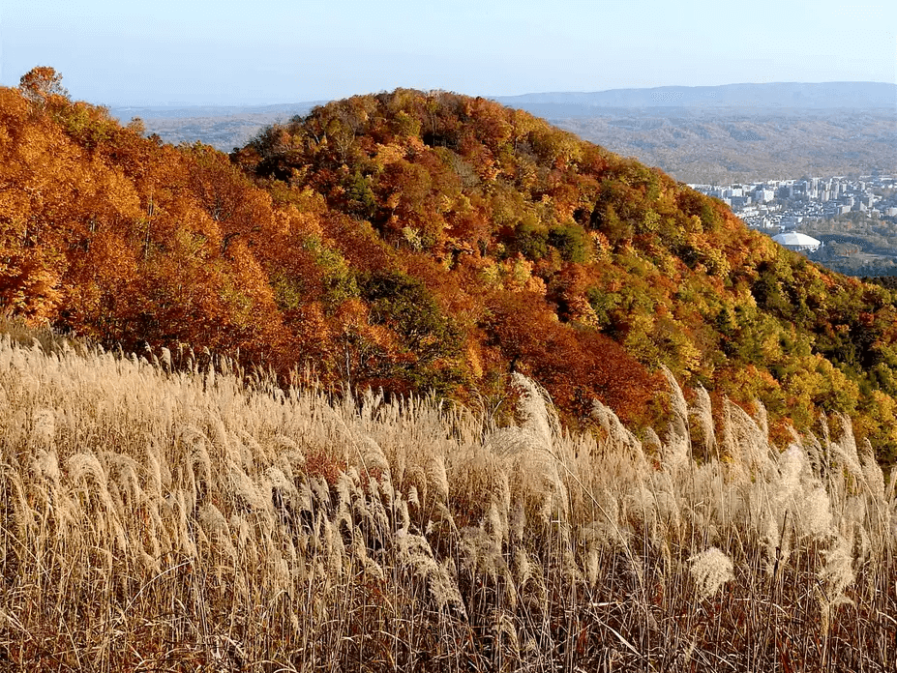 紅葉時期 - Hokkaido A4JP Travel Guide