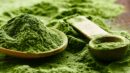 How-to-market-duckweed-as-a-source-of-sustainable-nutrition-featured