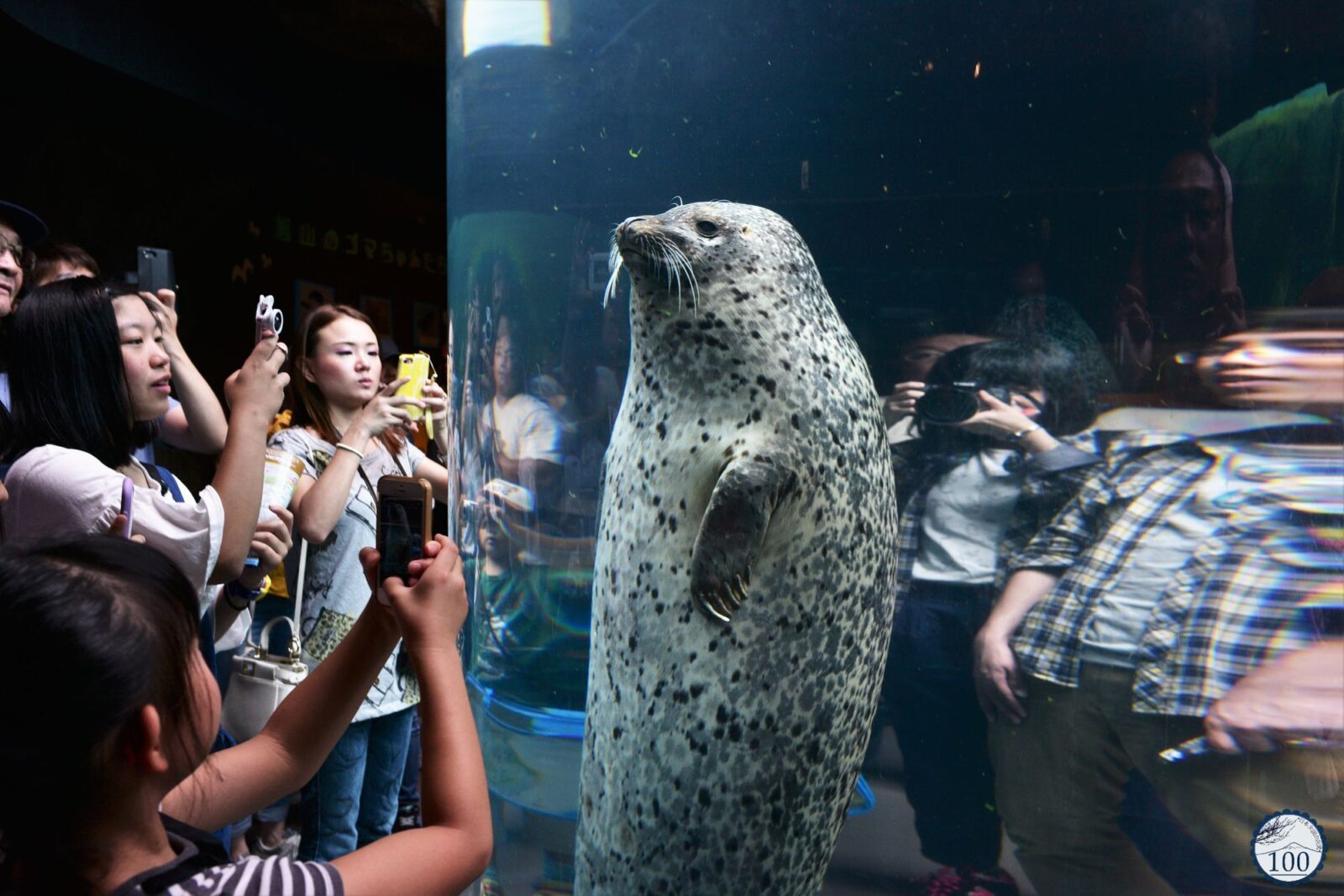 旭川市 旭山動物園 - Hokkaido A4JP Travel Guide