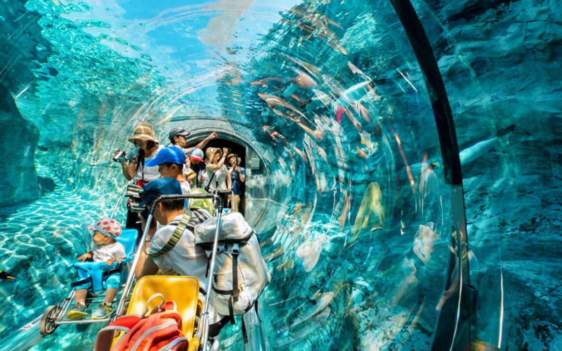 Asahiyama Zoo underwater tunnel