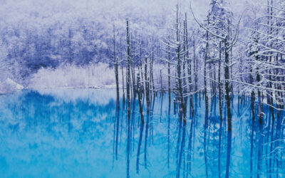 Blue Pond, Shirogane, Biei