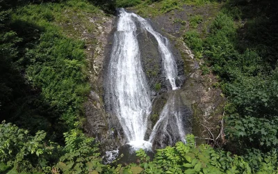 Shigetaki 重滝