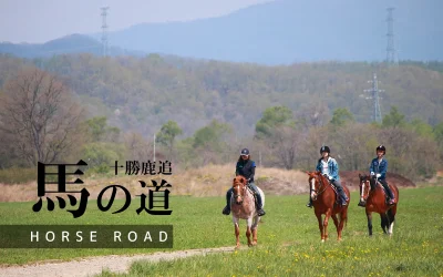 馬の道