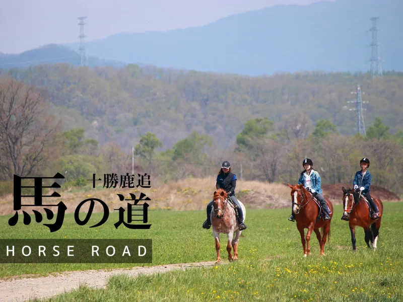 馬の道