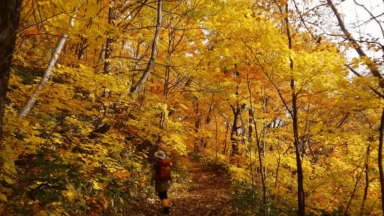 手稲山