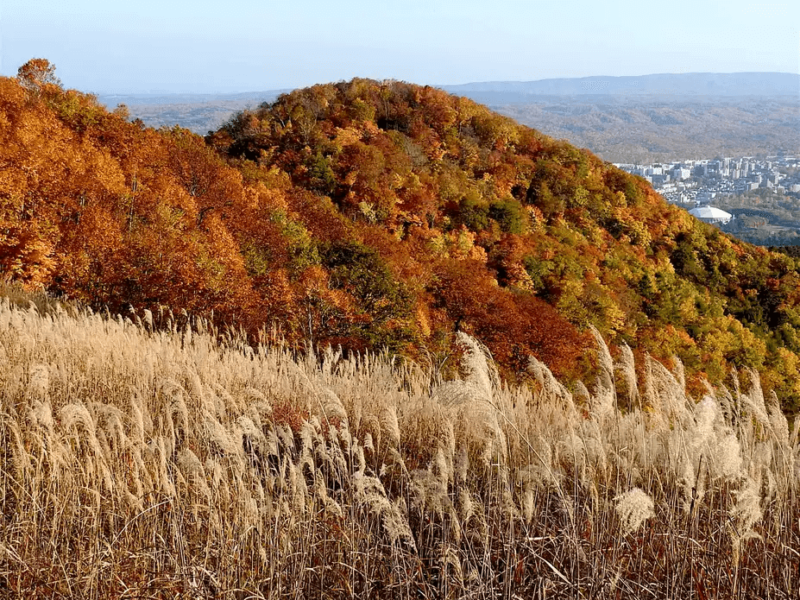 藻岩山 Mount Moiwa Mt. Moiwa