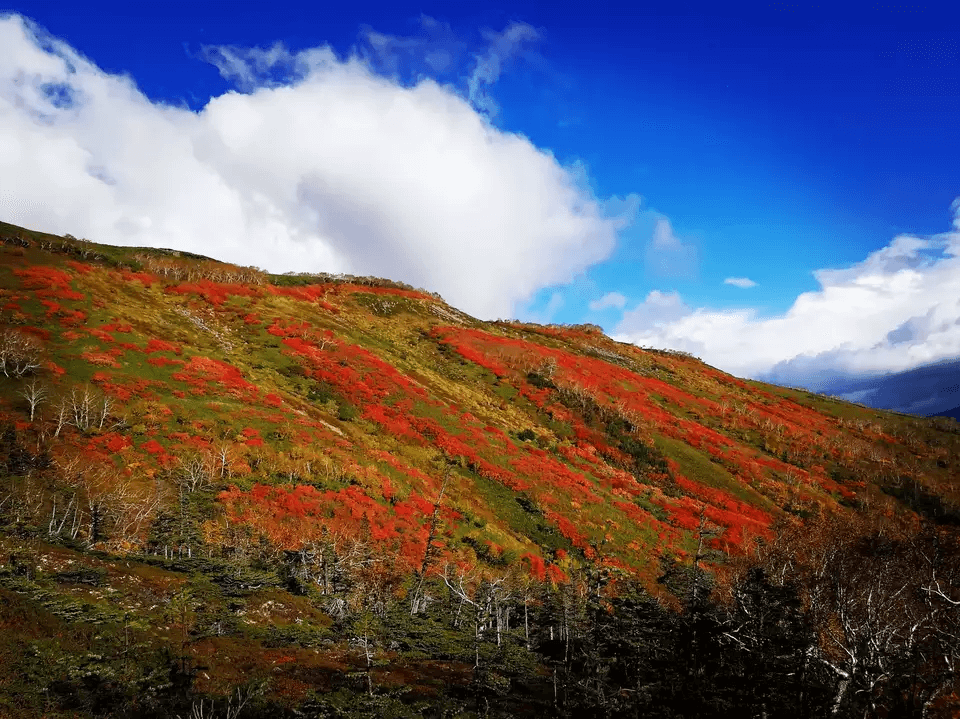 紅葉登山おすすめの山 赤岳（あかだけ）／大雪山国立公園｜紅葉の見頃【9月中旬～9月下旬】