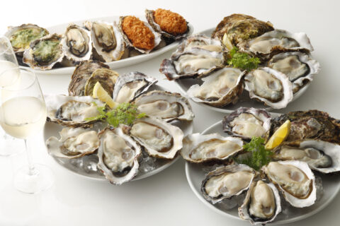 Oysters