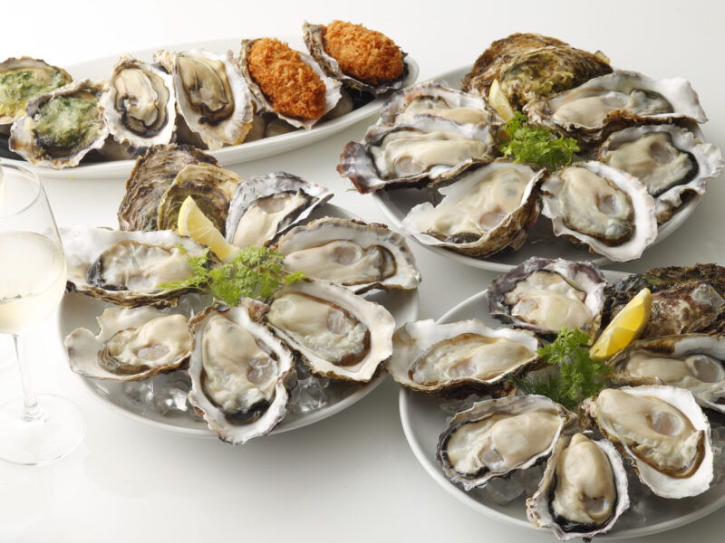 Oysters