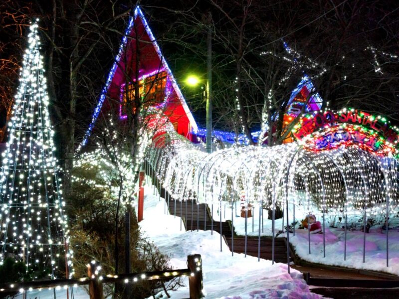 Hiroo Santa Land