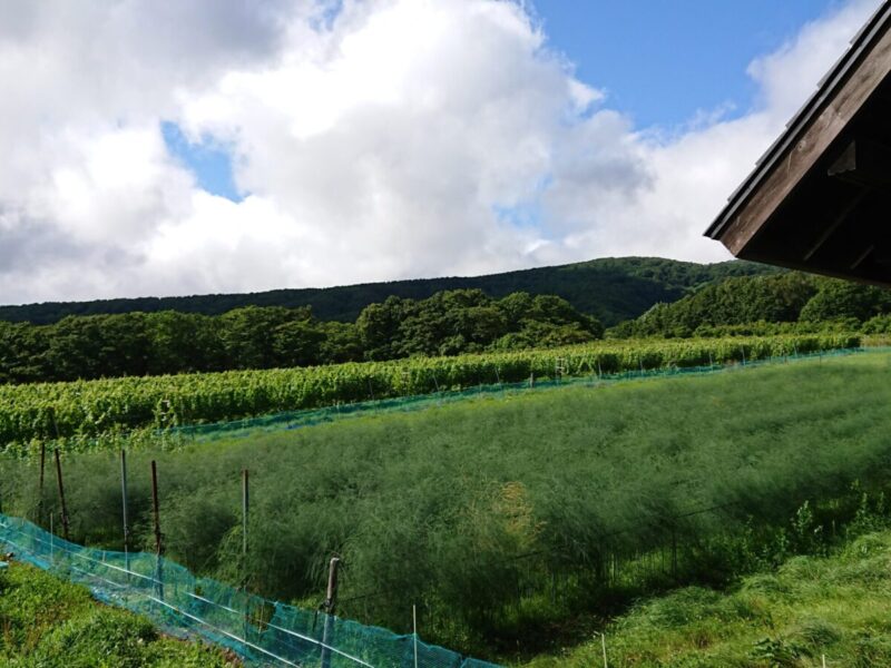 Matsubara Winery & Farm