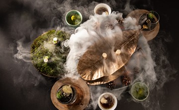 Le Musée food with smoke