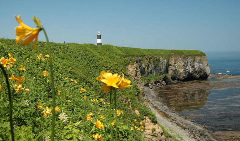 Cape Notoro