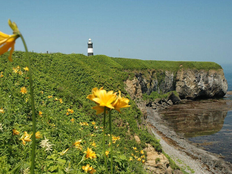 Cape Notoro