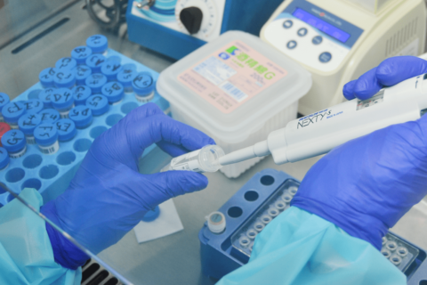 Team Medical Clinic - PCR Tests