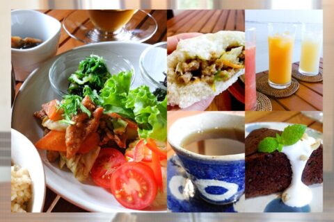 Vegetable Lunch Xi Fang