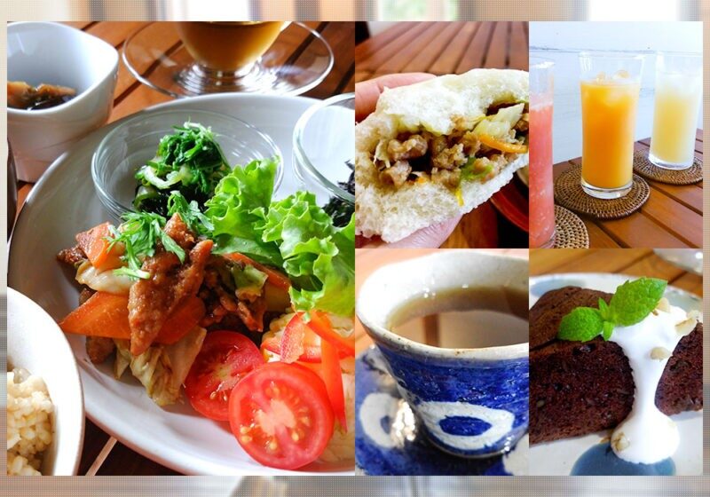 Vegetable Lunch Xi Fang