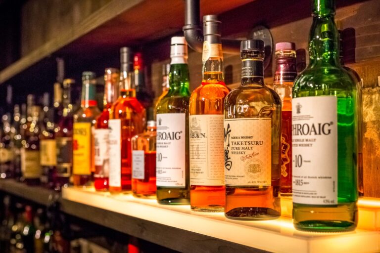 Bearfoot Bar - Bar