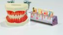 dental clinic omni dentists