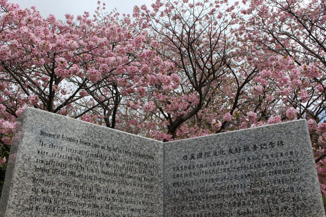 Monument of Friendship between Japan and England for Cherry Tree Appreciation