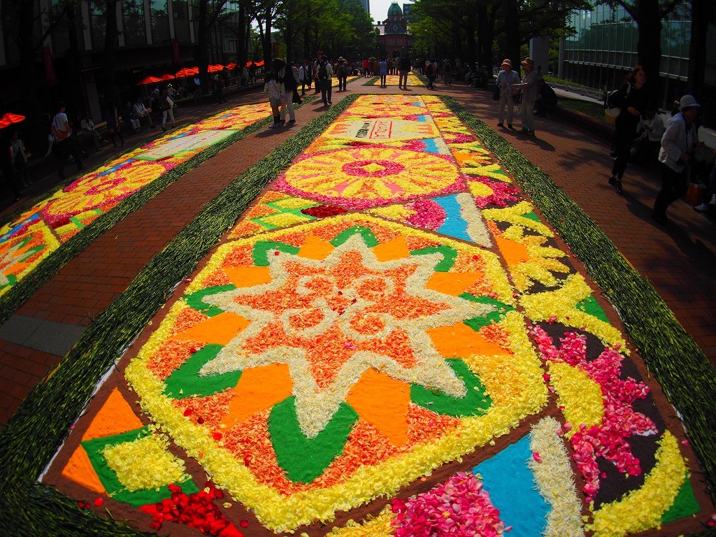 Sapporo Flower Carpet (Free Event)