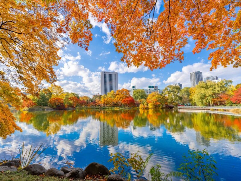 中島公園