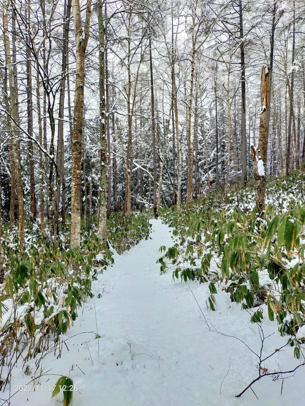 Photos Around Hokkaido: Abuta-gun, Kutchan, Yamada