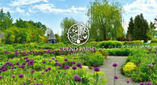 Ueno Farm (The Gnomes' Garden)