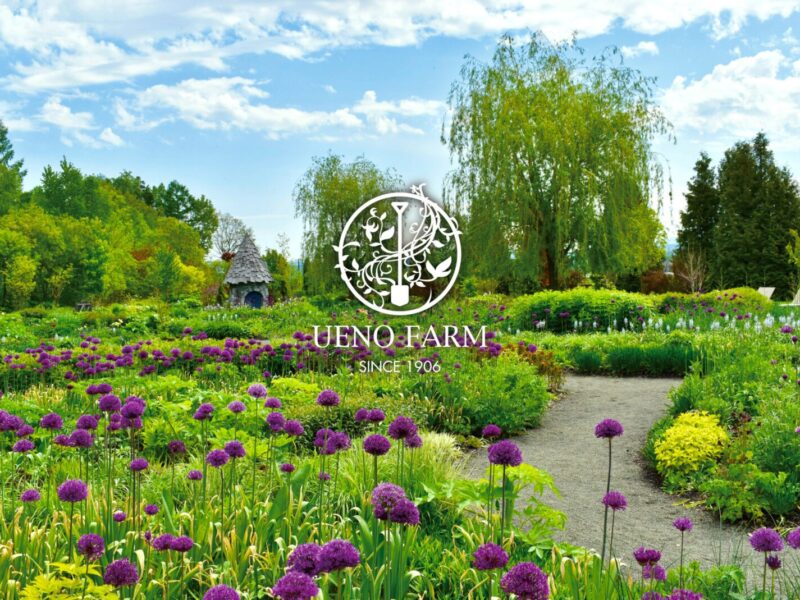Ueno Farm (The Gnomes' Garden)