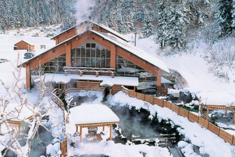 Fukiage Hot Spring Lodge, Health Center & Recreational Facility - Hakuginso