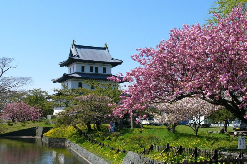 松前城 Matusmae Park Cherry Blossom Festival, Matsushiro