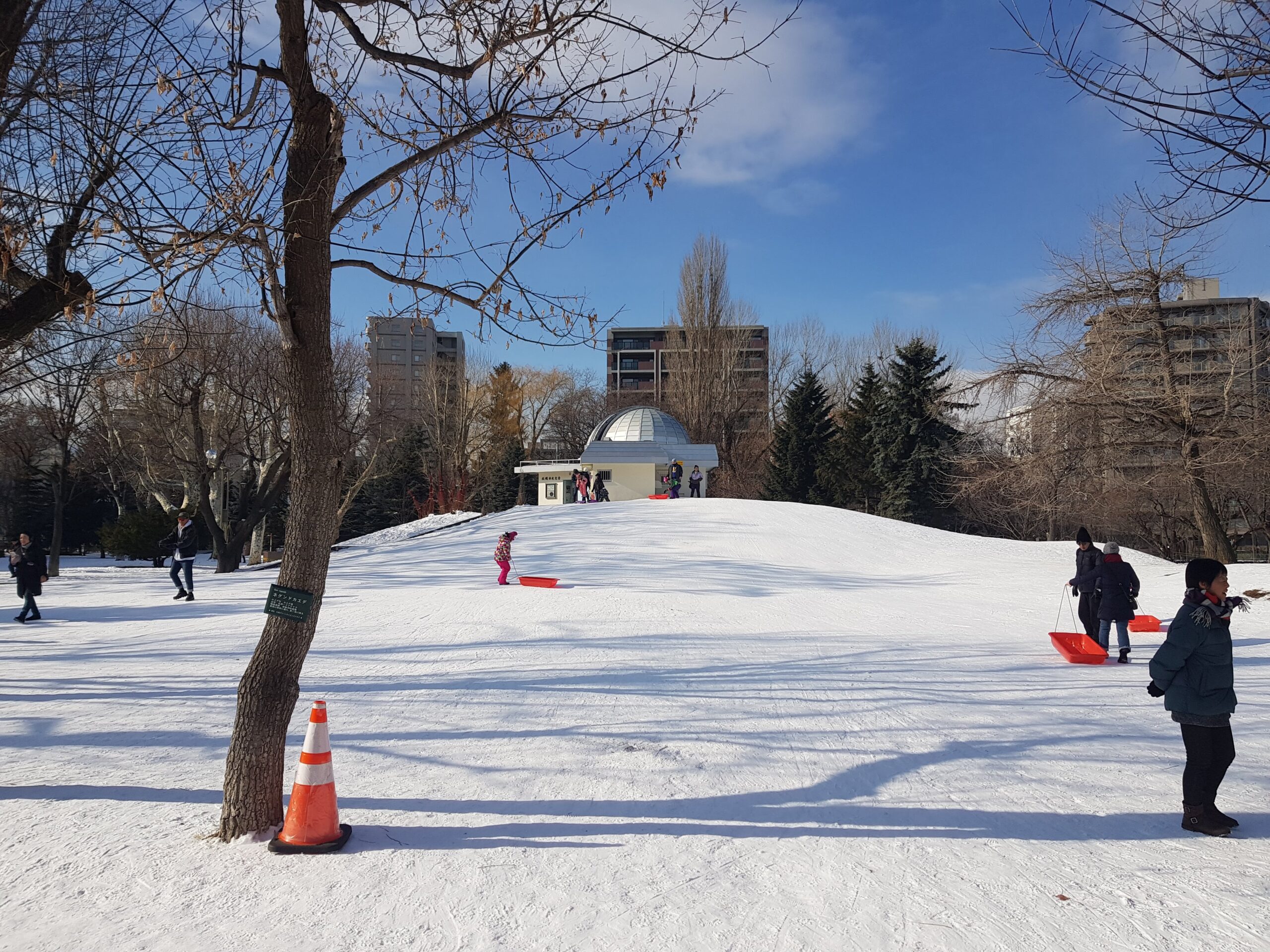 kids sledding in Nakajima park near the astronomical observatory