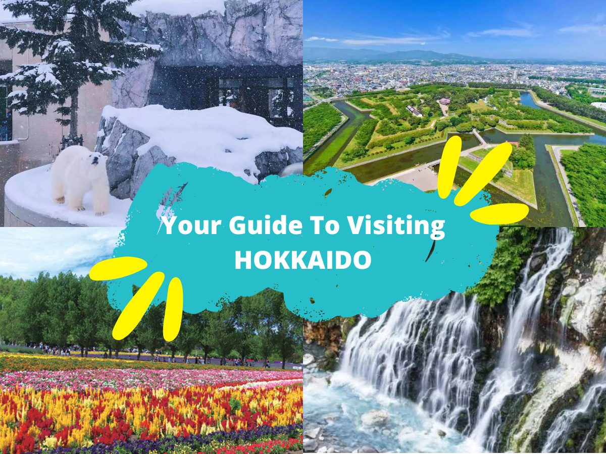 Your Guide To Visiting Hokkaido