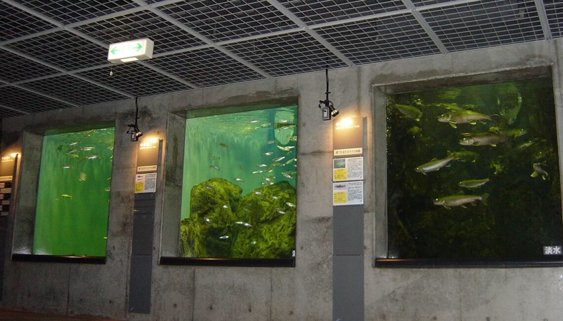 Shibetsu Salmon Science Museum