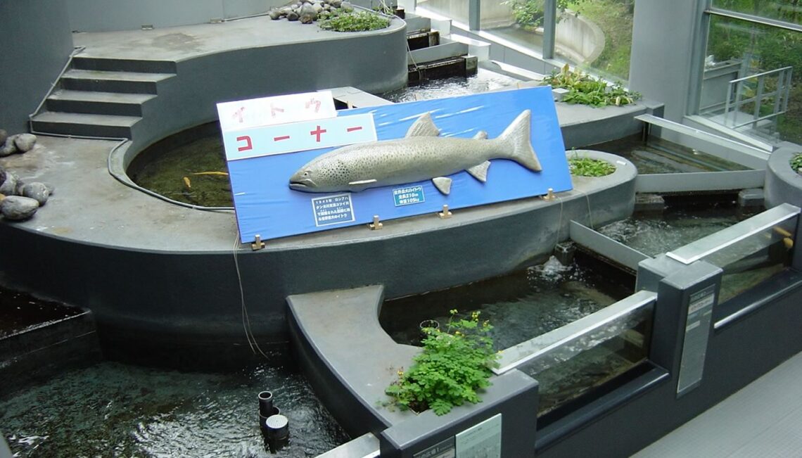 Shibetsu Salmon Science Museum