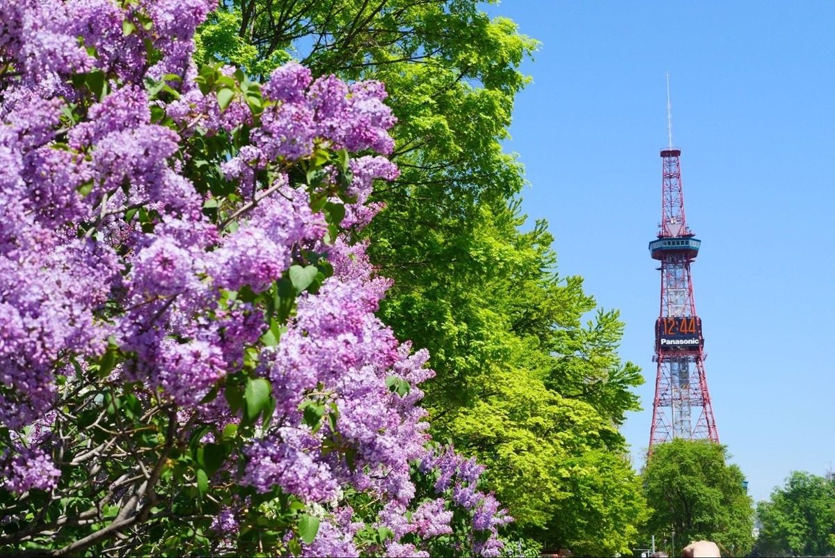 Sapporo Lilac Festival, Odori Park in May