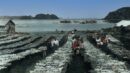 色丹島（しこたんとう）