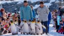 Asahiyama Zoo